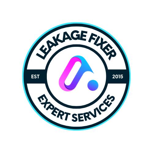 Leakage Fixer Expert Services